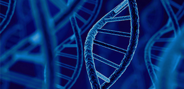 生物纳米定制方案